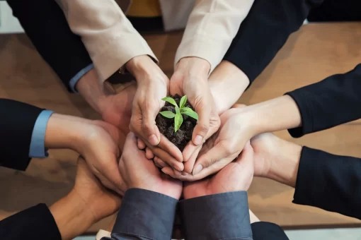 empresários corporativos  segurando uma planta juntos, representando a sustentabilidade empresarial como um todo